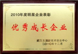 武漢時代地智科技股份 油田勘探開發(fā)軟件研發(fā)與技術服務的領航者